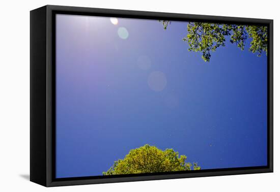 Brilliant Blue Sky-null-Framed Stretched Canvas
