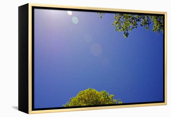 Brilliant Blue Sky-null-Framed Stretched Canvas