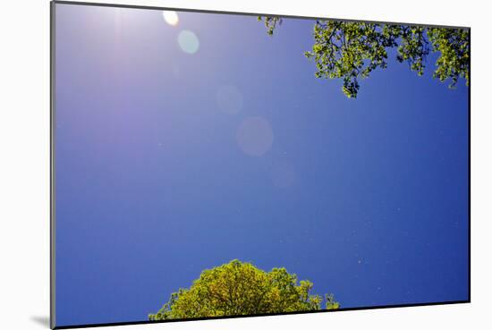 Brilliant Blue Sky-null-Mounted Photo