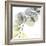 Brilliant Eucalyptus 1-Albert Koetsier-Framed Photographic Print