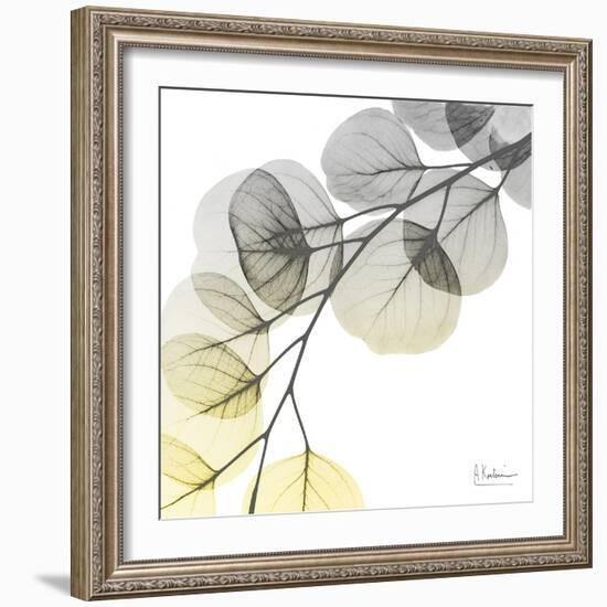 Brilliant Eucalyptus 1-Albert Koetsier-Framed Photographic Print