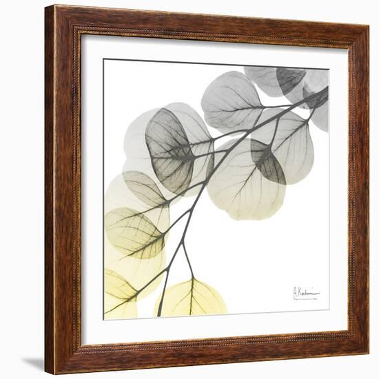 Brilliant Eucalyptus 1-Albert Koetsier-Framed Photographic Print