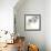 Brilliant Eucalyptus 1-Albert Koetsier-Framed Photographic Print displayed on a wall