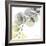 Brilliant Eucalyptus 1-Albert Koetsier-Framed Photographic Print