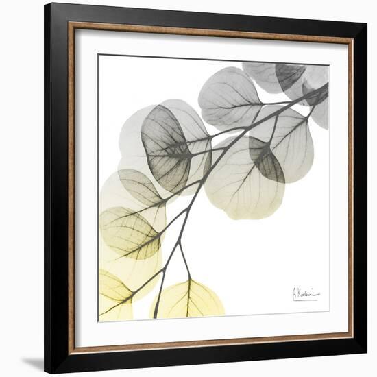 Brilliant Eucalyptus 1-Albert Koetsier-Framed Photographic Print