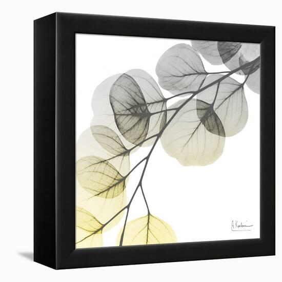 Brilliant Eucalyptus 1-Albert Koetsier-Framed Premier Image Canvas