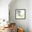 Brilliant Eucalyptus 2-Albert Koetsier-Framed Photographic Print displayed on a wall