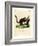 Brilliant Flying Squirrel-null-Framed Giclee Print