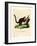 Brilliant Flying Squirrel-null-Framed Giclee Print