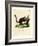 Brilliant Flying Squirrel-null-Framed Giclee Print