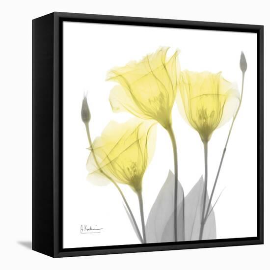 Brilliant Gentian Buddies 1-Albert Koetsier-Framed Premier Image Canvas