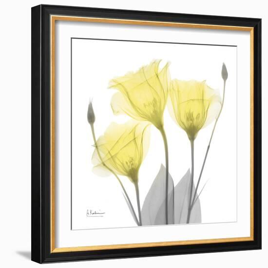 Brilliant Gentian Buddies 1-Albert Koetsier-Framed Photographic Print