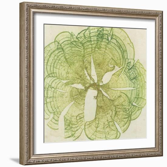 Brilliant Seaweed VIII-null-Framed Art Print