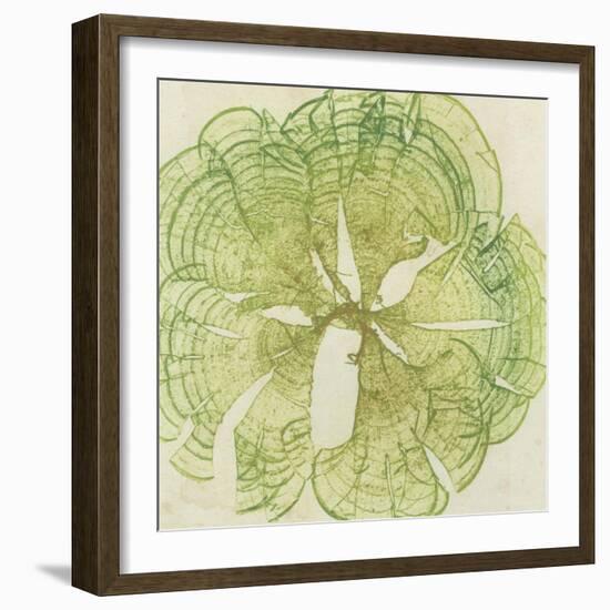 Brilliant Seaweed VIII-null-Framed Premium Giclee Print