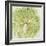 Brilliant Seaweed VIII-null-Framed Premium Giclee Print