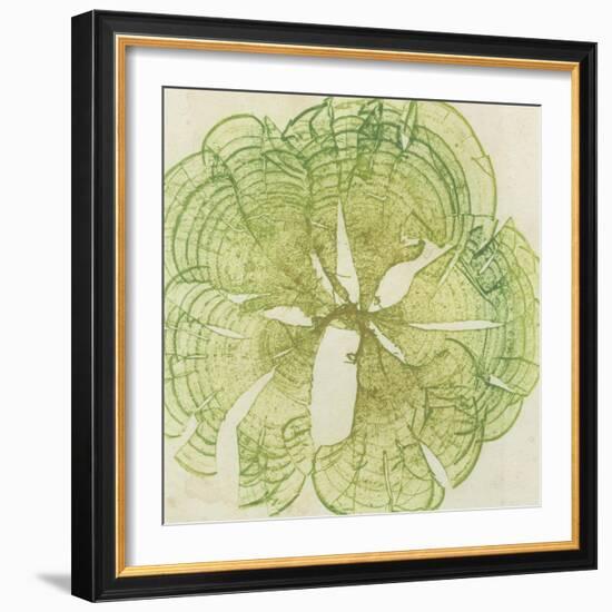 Brilliant Seaweed VIII-null-Framed Premium Giclee Print