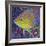 Brilliant Tropical Fish I-Carolee Vitaletti-Framed Art Print