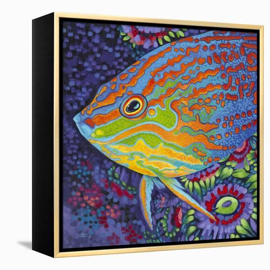 Brilliant Tropical Fish I-Carolee Vitaletti-Framed Stretched Canvas