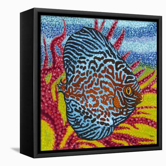Brilliant Tropical Fish II-Carolee Vitaletti-Framed Stretched Canvas