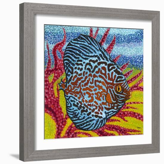 Brilliant Tropical Fish II-Carolee Vitaletti-Framed Art Print