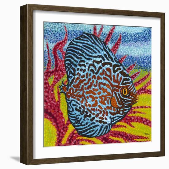 Brilliant Tropical Fish II-Carolee Vitaletti-Framed Art Print