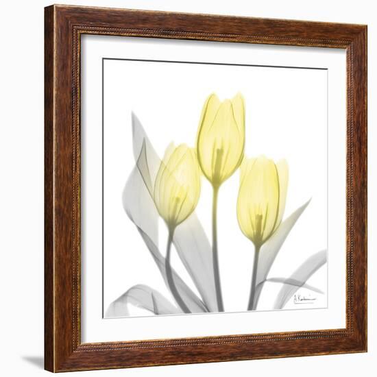 Brilliant Tulips 1-Albert Koetsier-Framed Photographic Print