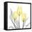 Brilliant Tulips 1-Albert Koetsier-Framed Premier Image Canvas