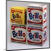 Brillo Boxes, 1963-1964-Andy Warhol-Mounted Giclee Print