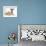 Brindle-And-White Whippet Puppy, 9 Weeks, with Yellow Guinea Pig-Mark Taylor-Framed Photographic Print displayed on a wall