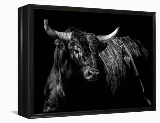 Brindle Rodeo Bull-Julie Chapman-Framed Stretched Canvas