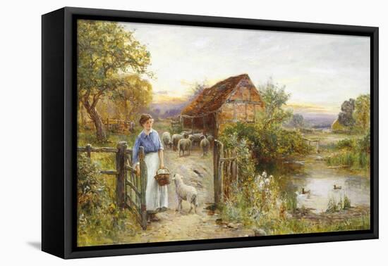 Bringing Home the Sheep-Ernest Walbourn-Framed Premier Image Canvas