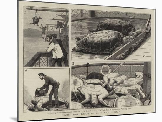 Bringing Home Turtles on Board HMS Jumna-John Charles Dollman-Mounted Giclee Print