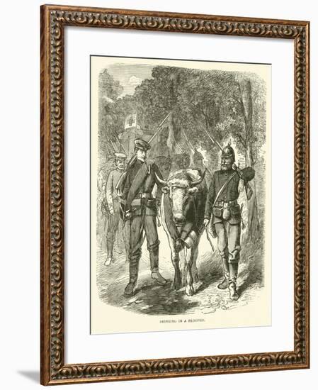 Bringing in a Prisoner, September 1870-null-Framed Giclee Print