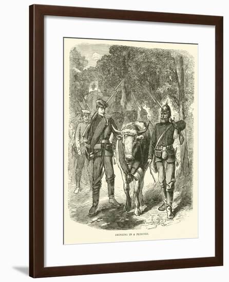 Bringing in a Prisoner, September 1870-null-Framed Giclee Print