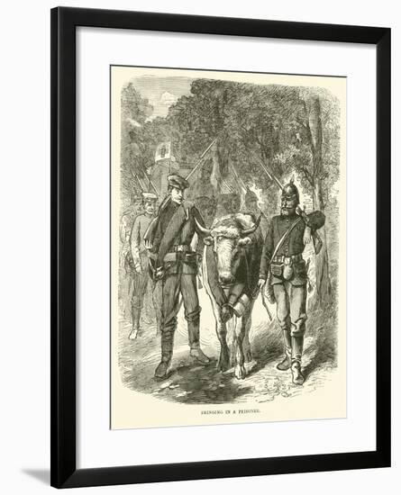 Bringing in a Prisoner, September 1870-null-Framed Giclee Print