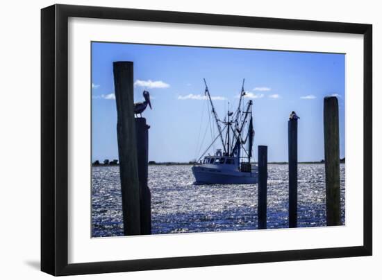 Bringing the Catch in II-Alan Hausenflock-Framed Photographic Print