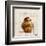 Brioche-Pascal Cessou-Framed Art Print