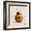 Brioche-Pascal Cessou-Framed Art Print