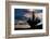 Bristlecone pine silhouetted at sunset, White Mountains, Inyo National Forest, California-Adam Jones-Framed Photographic Print