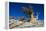 Bristlecone Pine-DLILLC-Framed Premier Image Canvas