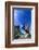 Bristlecone Pine-DLILLC-Framed Photographic Print