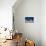 Bristlecone Pine-DLILLC-Photographic Print displayed on a wall