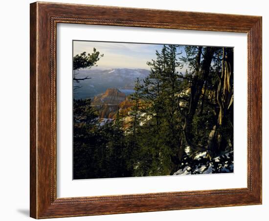 Bristlecone Pines Above Cedar Breaks at Sunset in Wintercedar Breaks National Monument, Utah, USA-Scott T. Smith-Framed Photographic Print