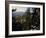 Bristlecone Pines Above Cedar Breaks at Sunset in Wintercedar Breaks National Monument, Utah, USA-Scott T. Smith-Framed Photographic Print