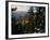 Bristlecone Pines Above Cedar Breaks at Sunset in Wintercedar Breaks National Monument, Utah, USA-Scott T. Smith-Framed Photographic Print