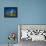 Bristlecone Pines-James Randklev-Framed Premier Image Canvas displayed on a wall