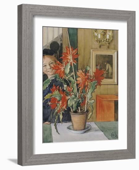 Brita's Cactus, 1904-Carl Larsson-Framed Giclee Print