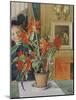 Brita's Cactus, 1904-Carl Larsson-Mounted Giclee Print