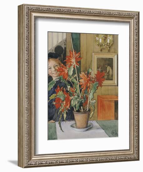 Brita's Cactus, 1904-Carl Larsson-Framed Giclee Print