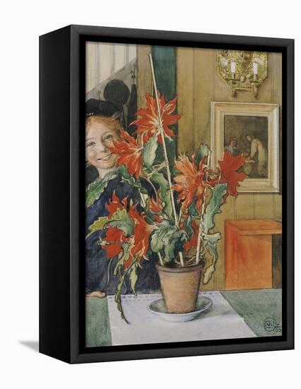 Brita's Cactus, 1904-Carl Larsson-Framed Premier Image Canvas